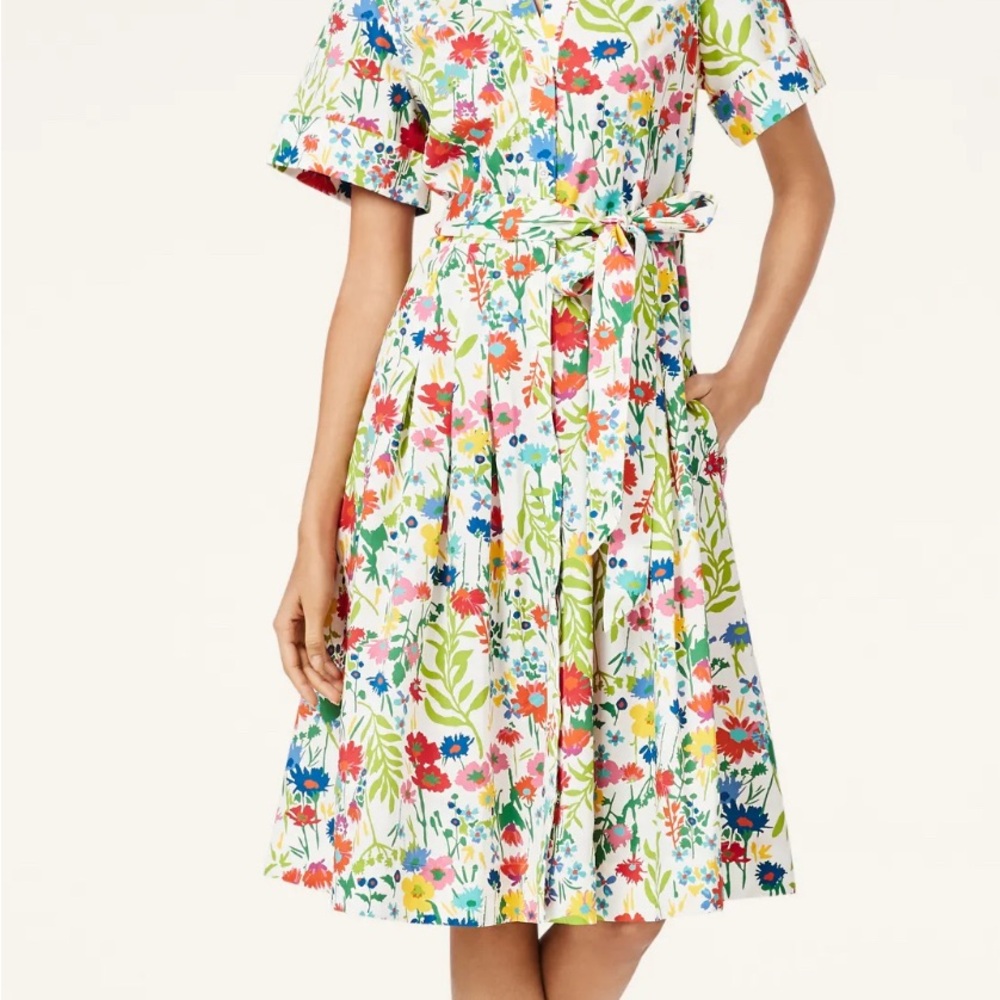 🌟NWT Brooks Brothers Dress